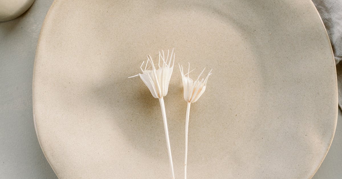 white label wordpress maintenance