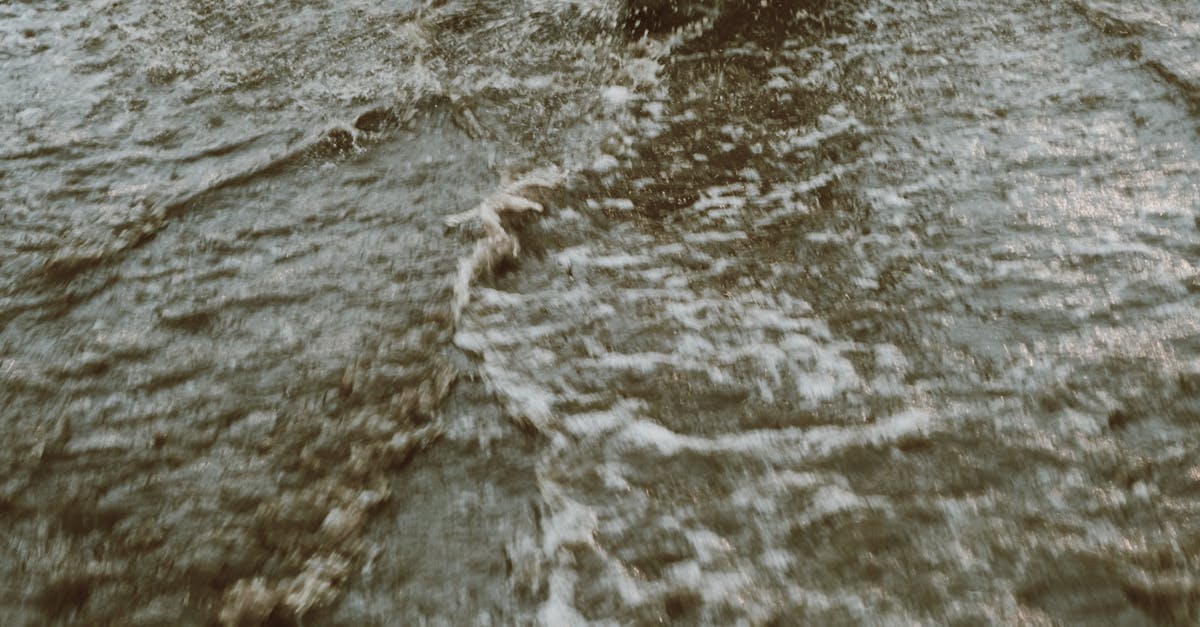 high traffic wordpress hosting