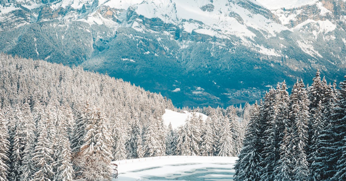 wordpress travel theme