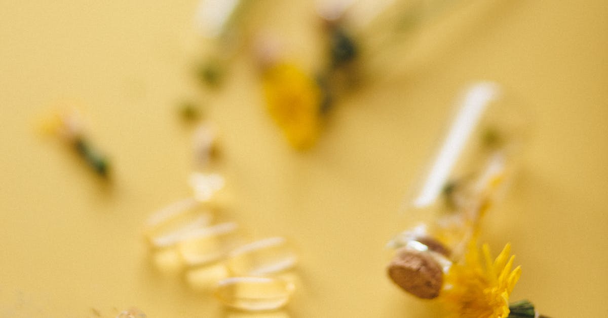 wordpress alternatives cms