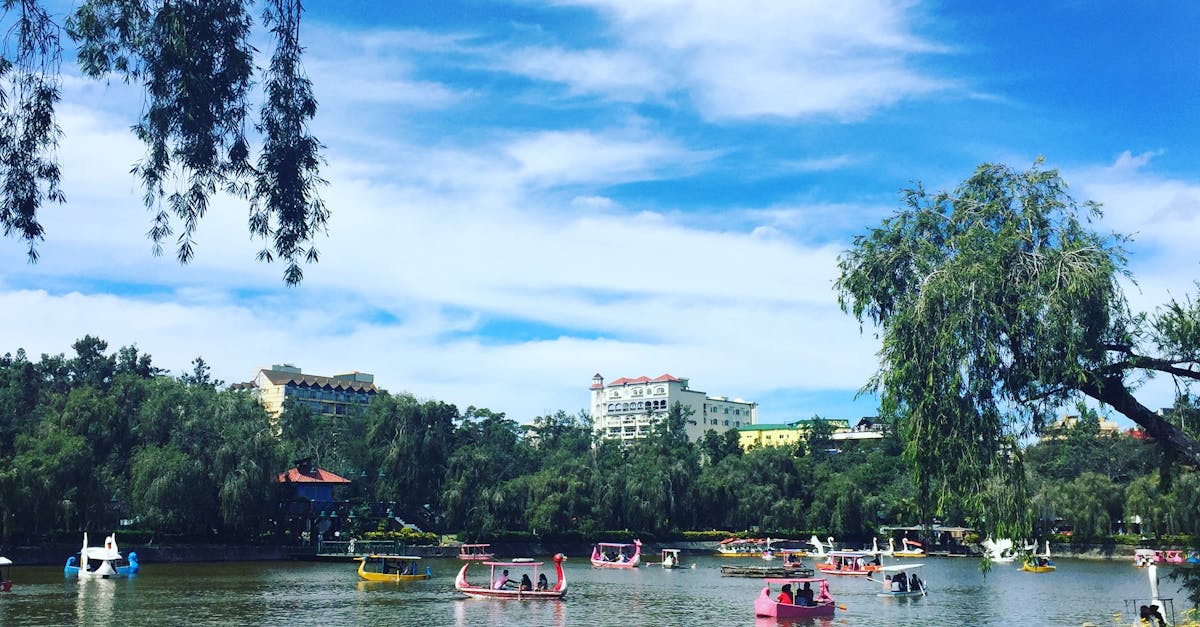 paddle wordpress plugin