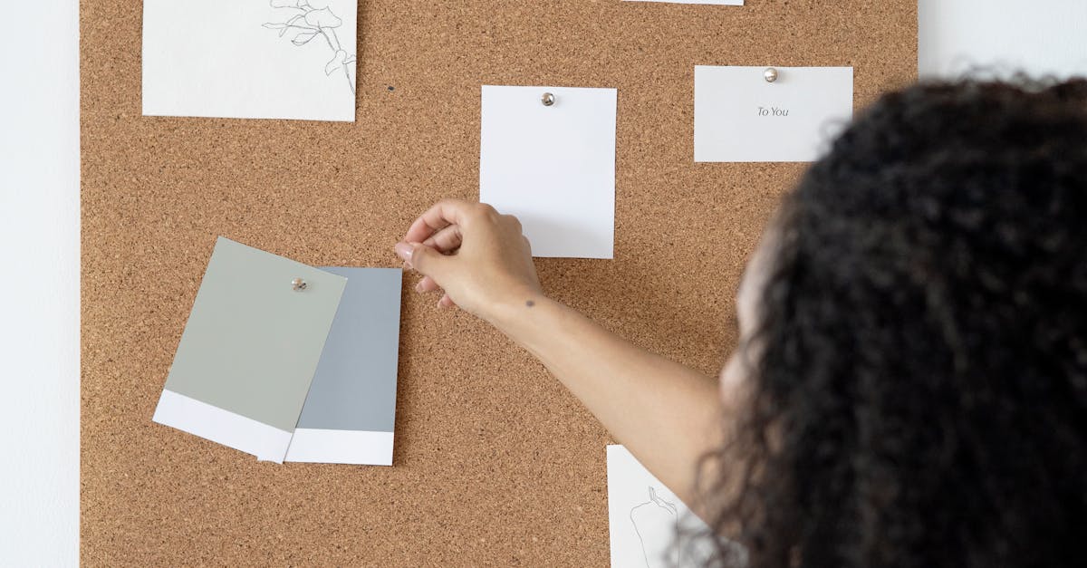 wordpress freelancing