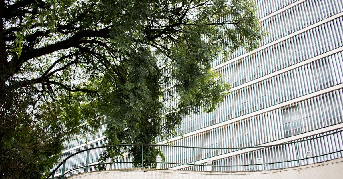 cpanel vs wordpress: 13 Expert Answers for Your Website