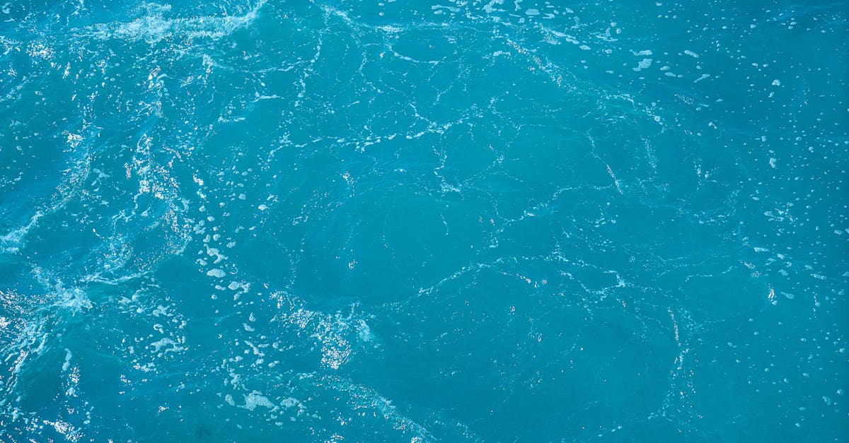 how to make a free wordpress website