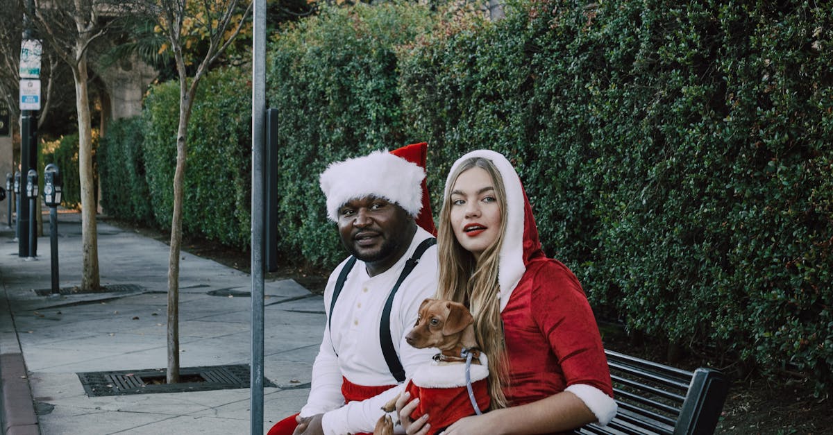 wordpress classifieds theme