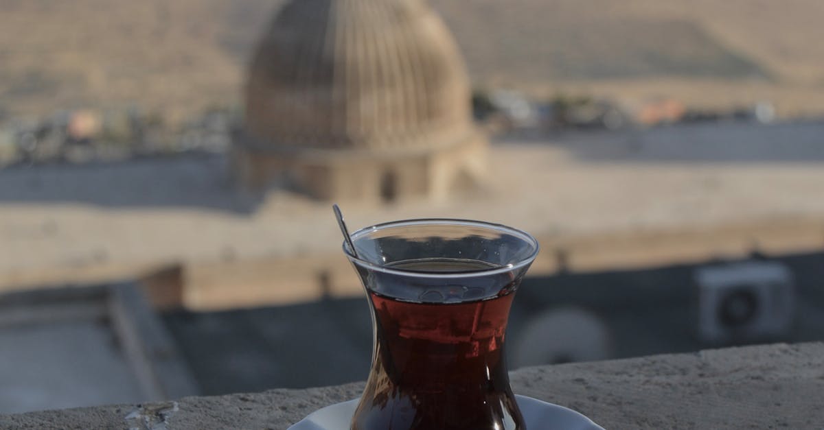 wordpress custom menu