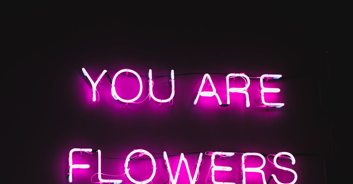 wordpress backgrounds