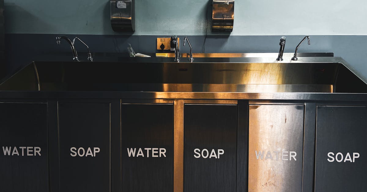 wordpress search function