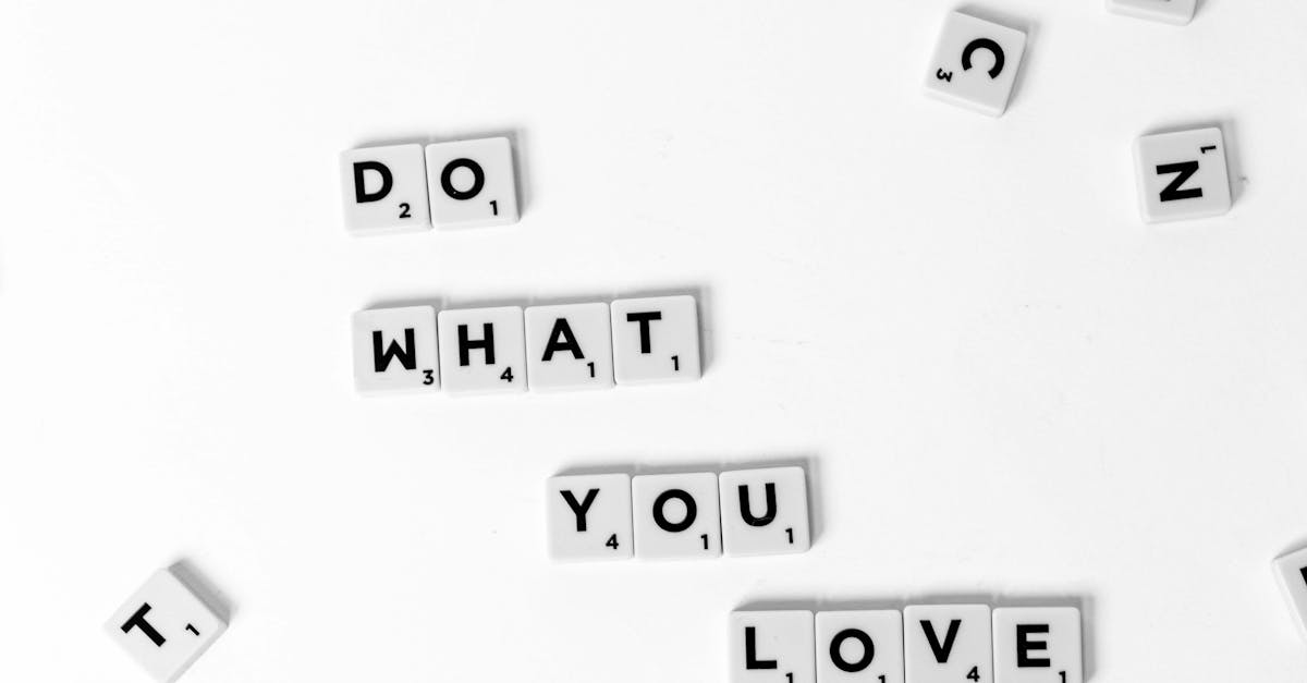 what is a widget wordpress