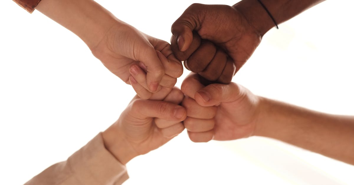 team member wordpress plugin