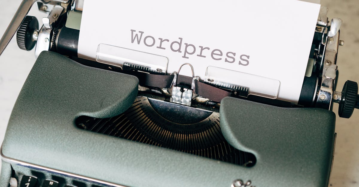 wordpress divi