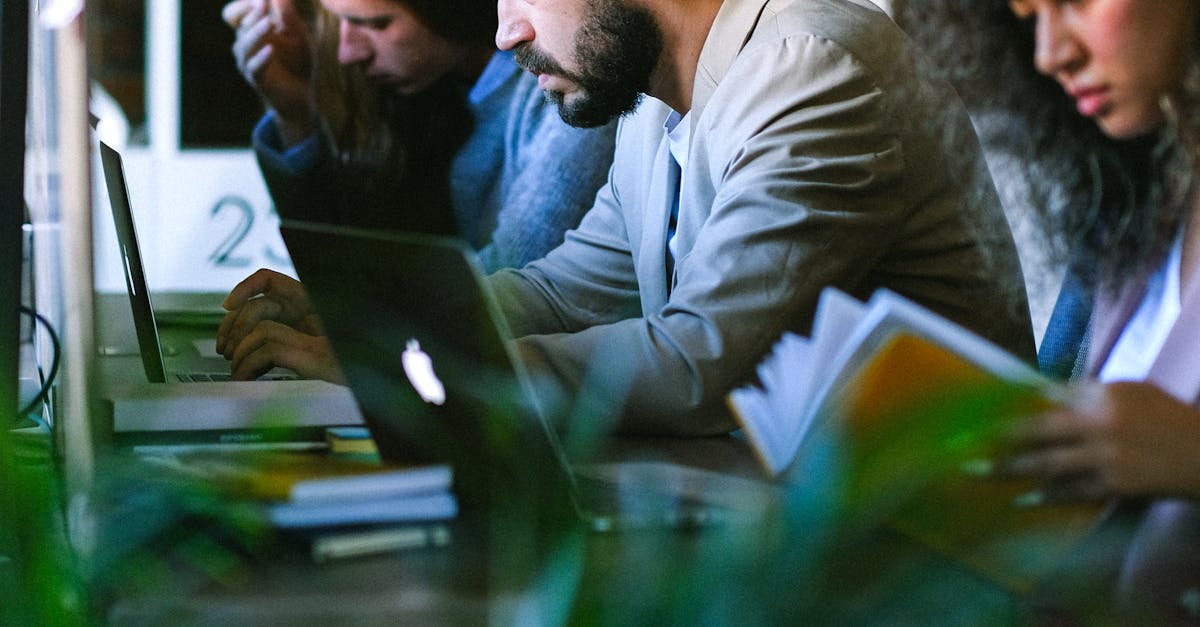 boston wordpress developer