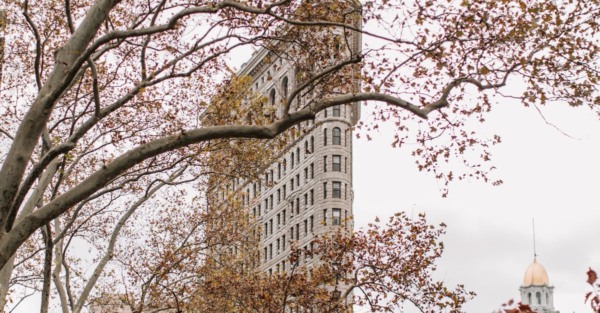 change font on wordpress