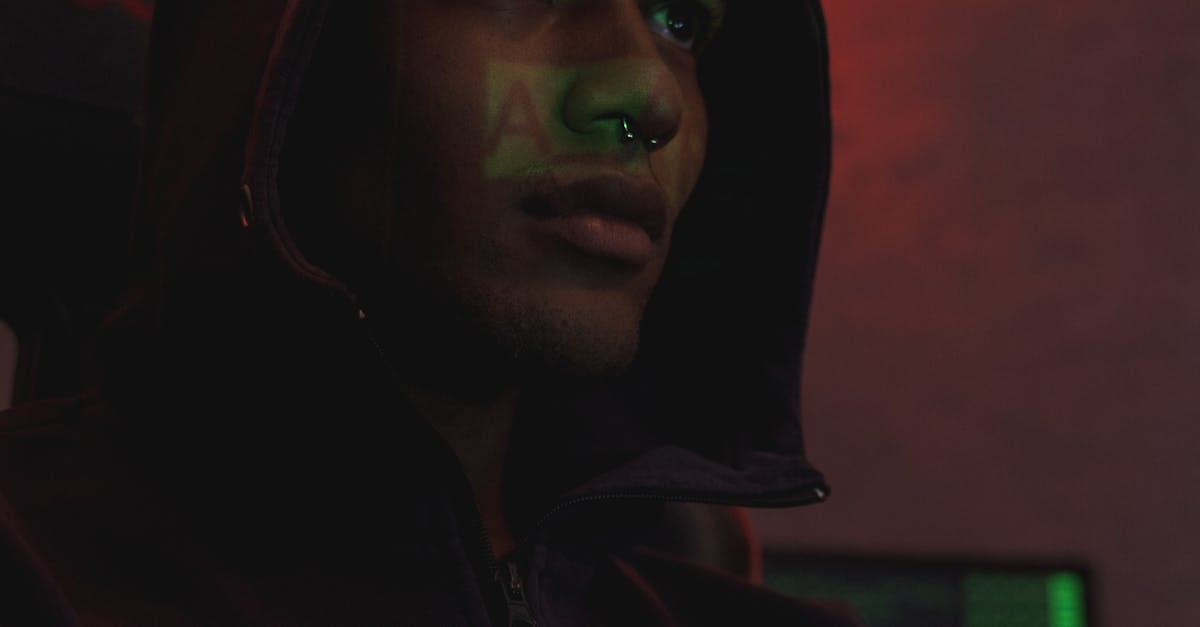 crear web con wordpress