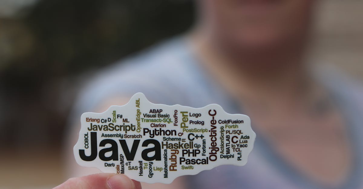 javascript wordpress