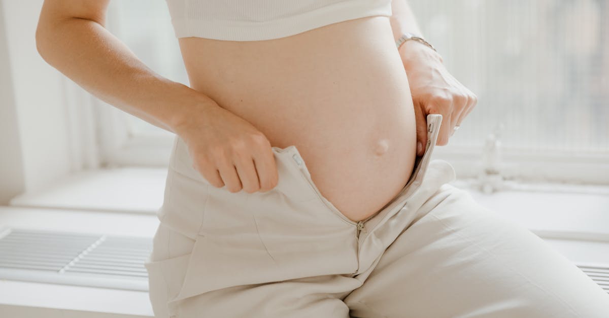 monthly wordpress maintenance