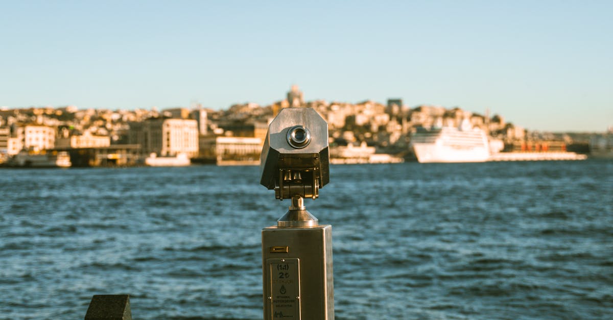 pdf viewer for wordpress