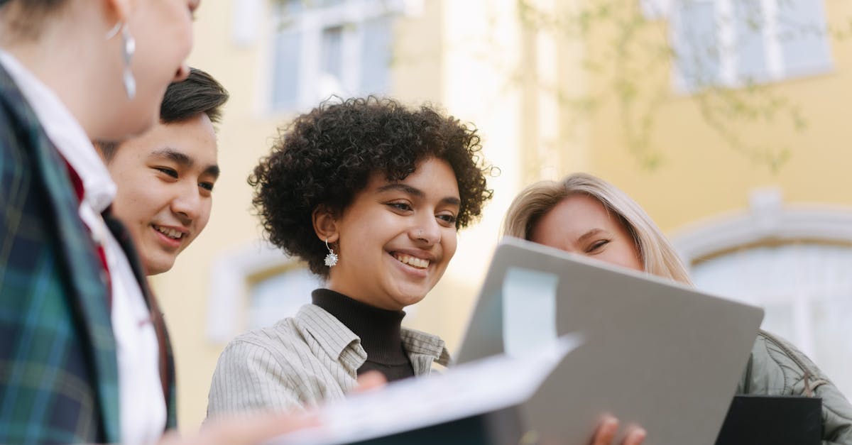 what is a wordpress developer