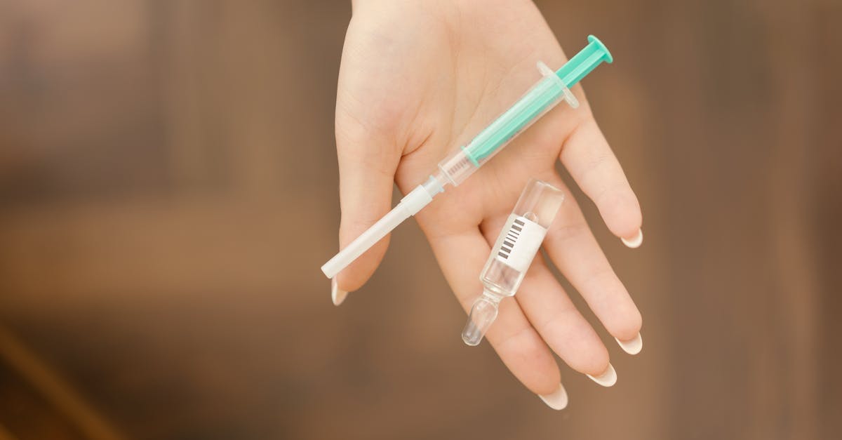 wordpress administrator