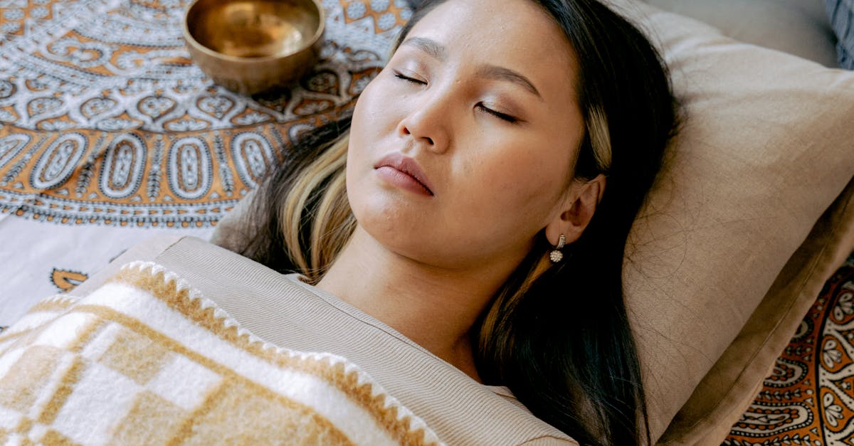 wordpress alternative