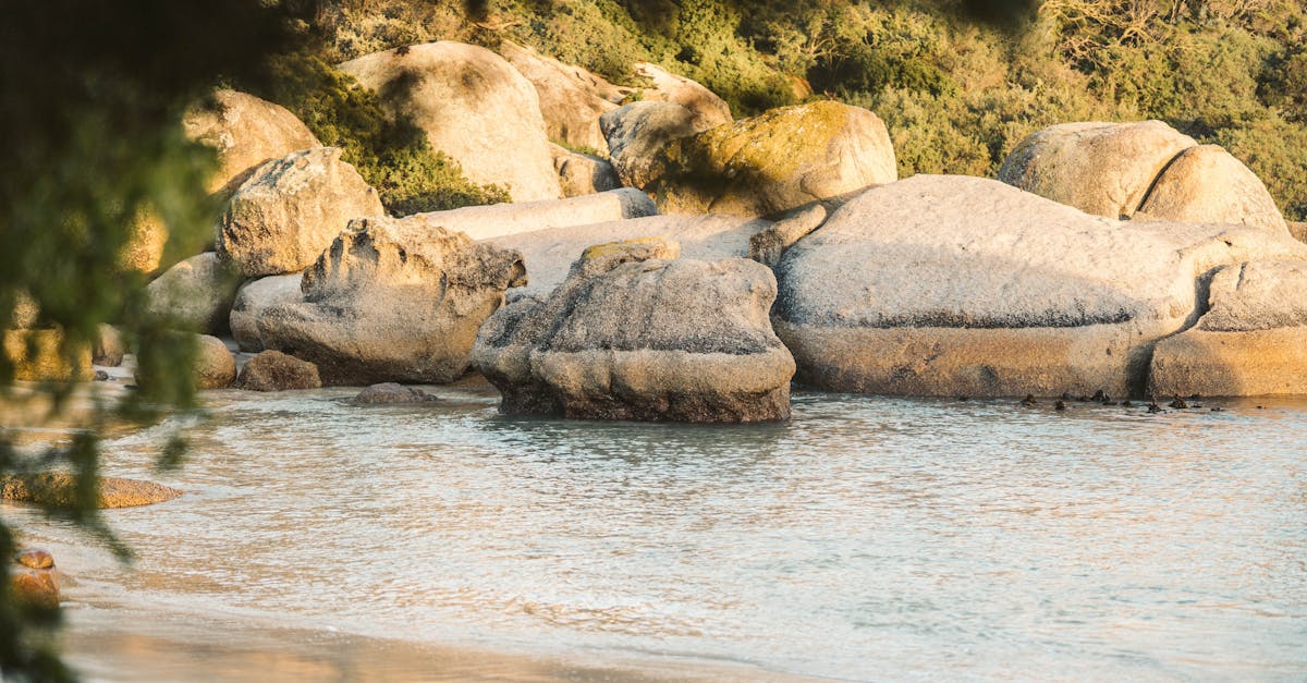 wordpress course with certificate free