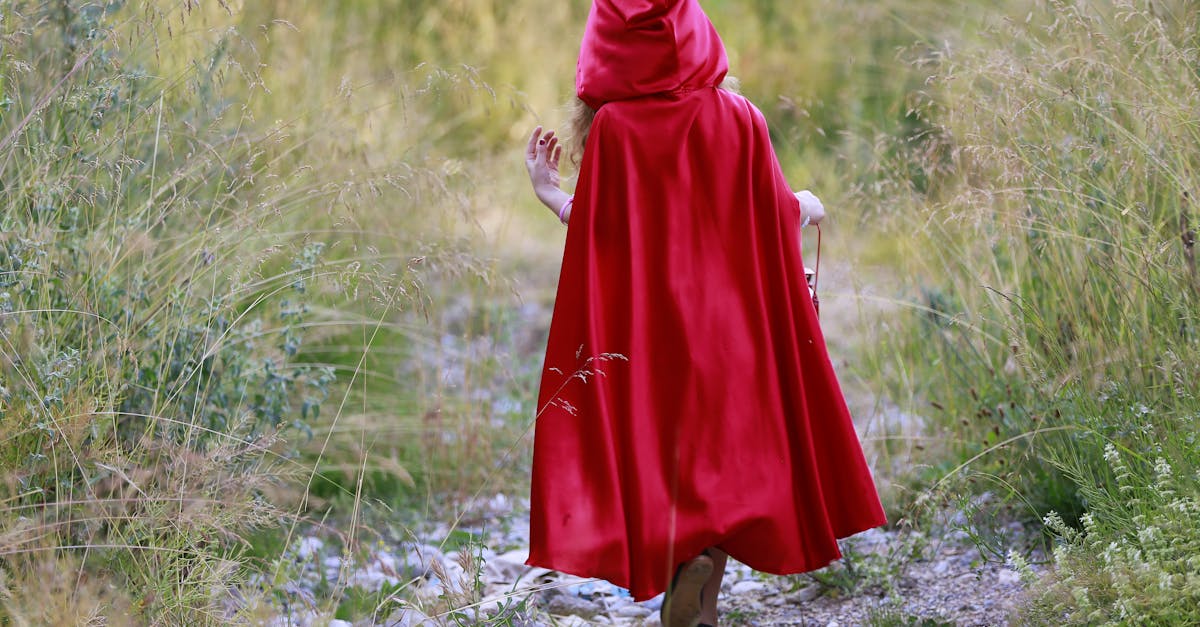 wordpress custom roles