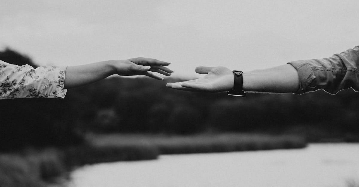 wordpress mobile version