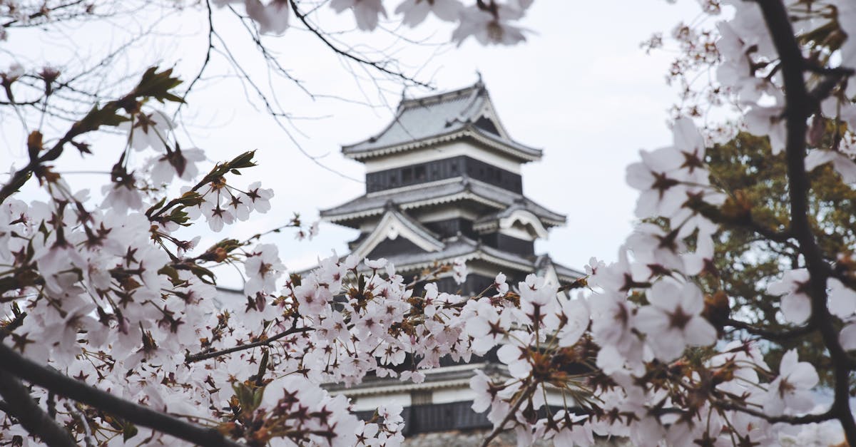 wordpress not updating changes