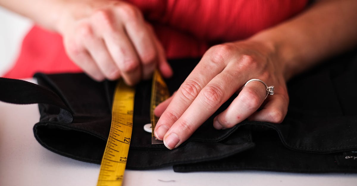 wordpress payment processing