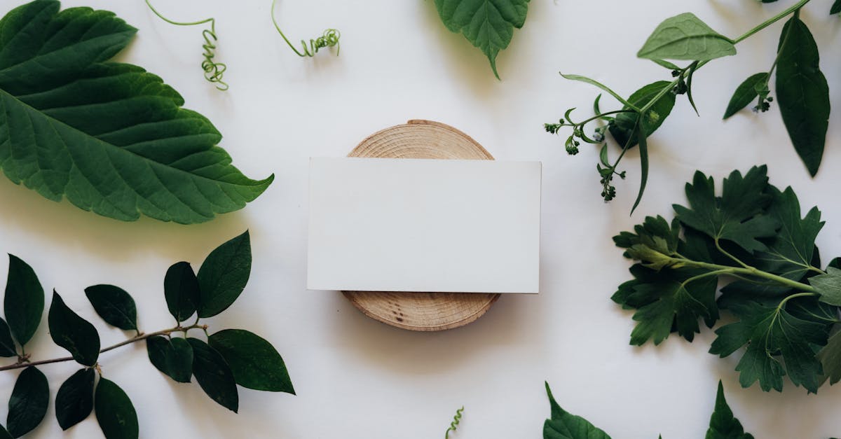 wordpress template development