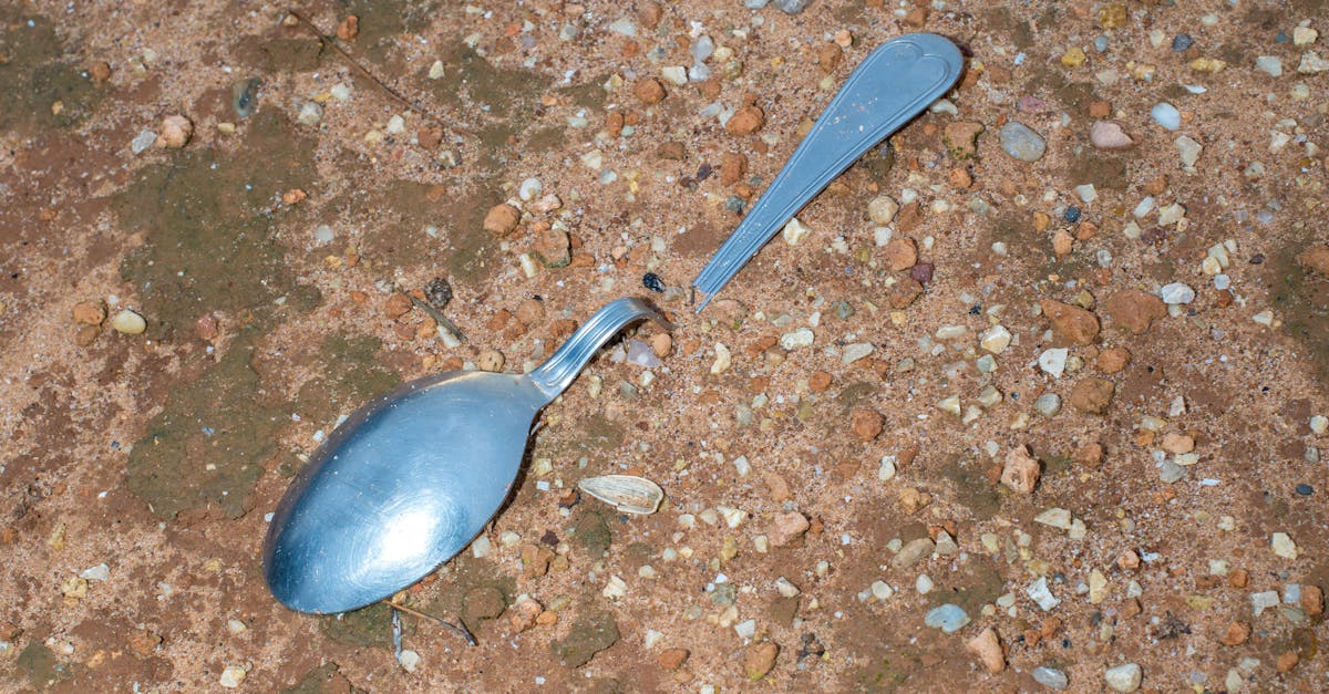 404 not found wordpress