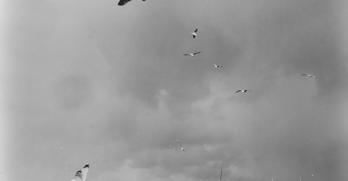 come velocizzare sito wordpress