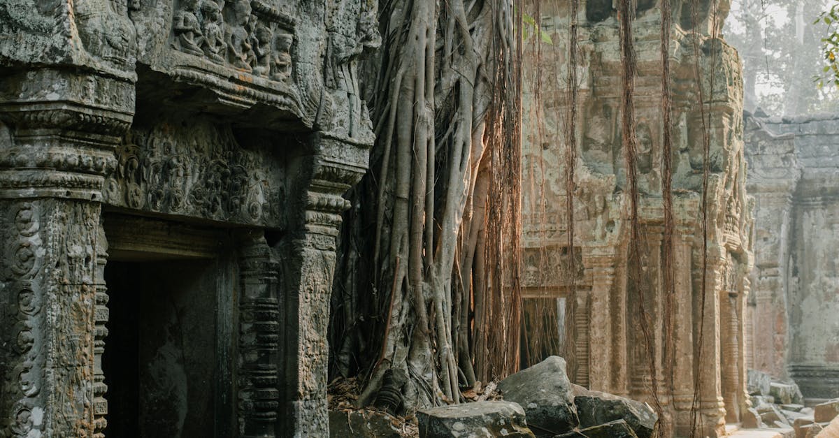 how to clone a wordpress site