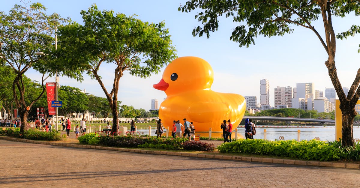 install wordpress on ubuntu