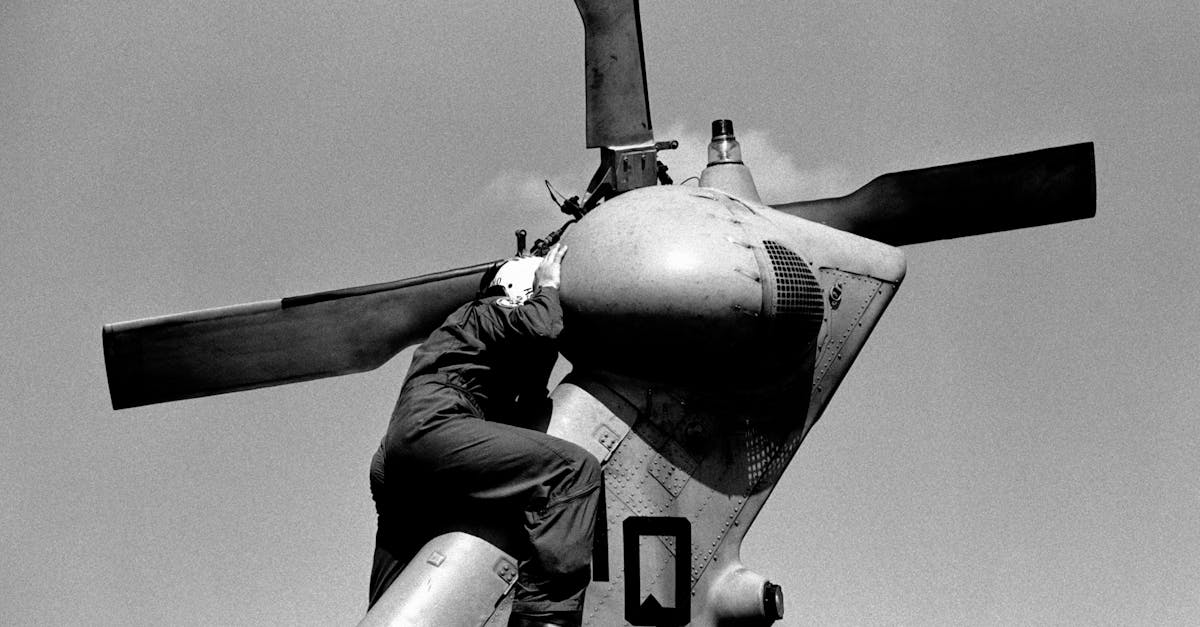 is wordpress a search engine