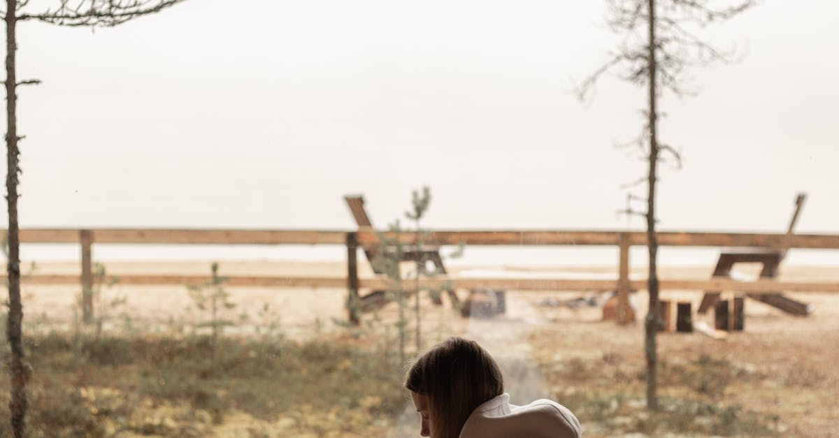 wordpress digital agency