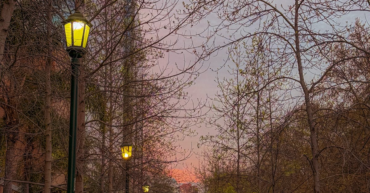 wordpress export posts