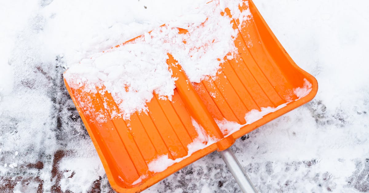 wordpress malware removal plugins