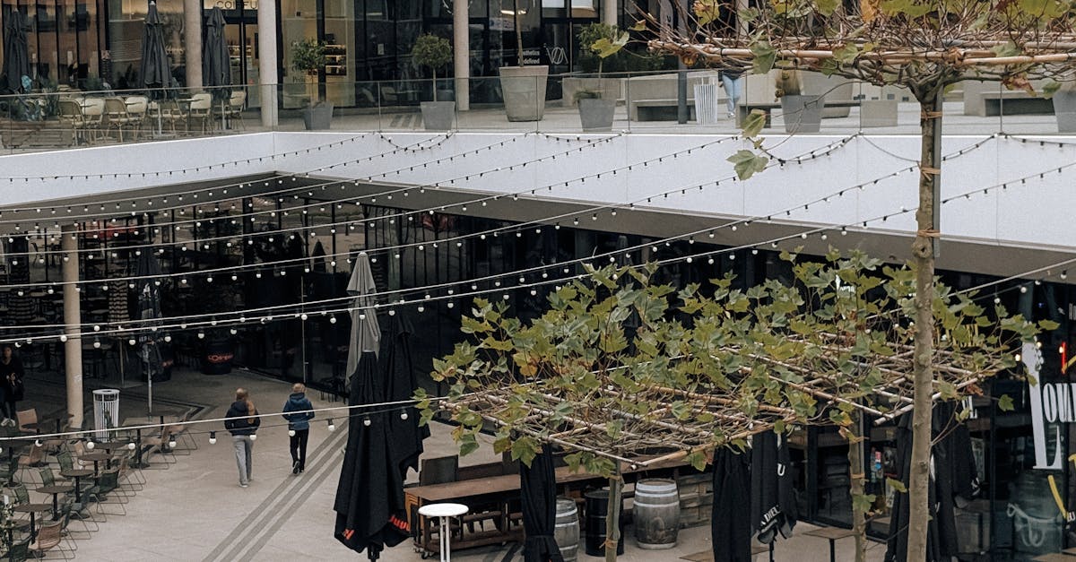 wordpress robots.txt location