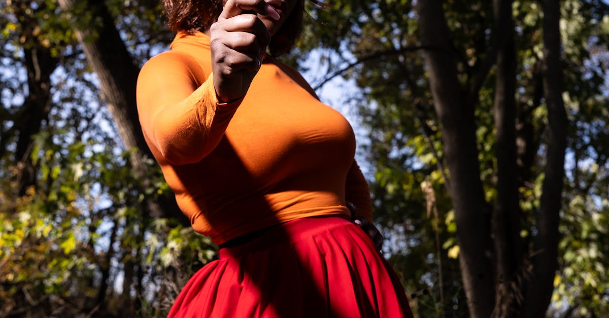 wordpress search query