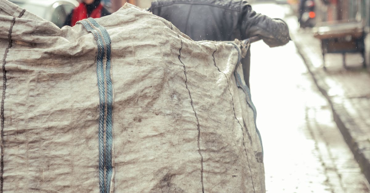 wordpress slow to load