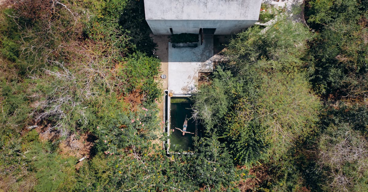 wordpress website development service