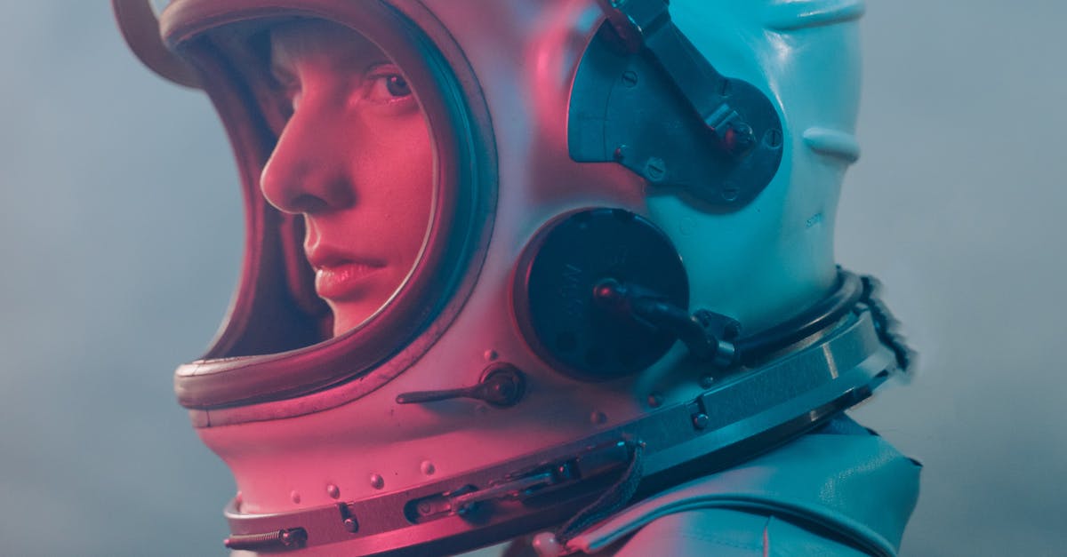 wordpress wiki theme