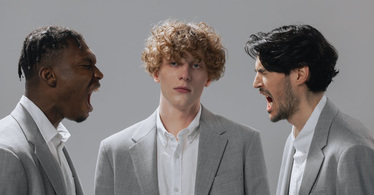 accessible wordpress themes