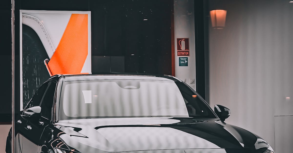 advanced wordpress course