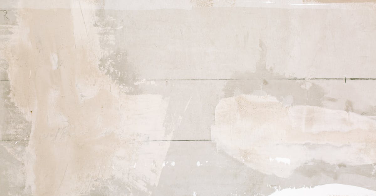 build wordpress plugin