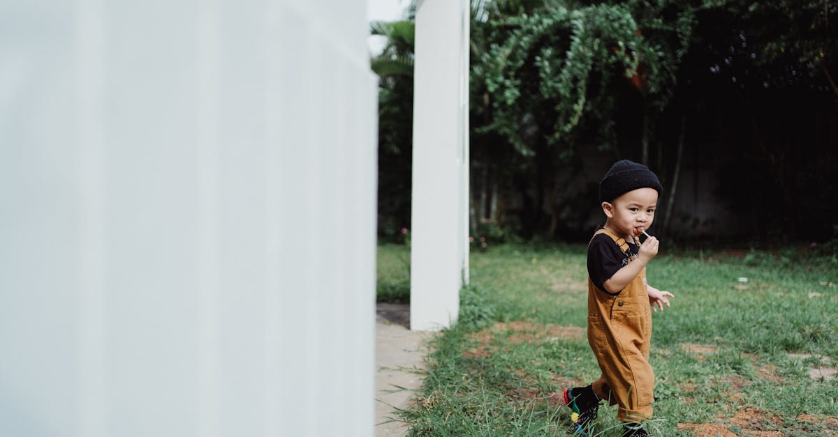 contact form wordpress plugin free