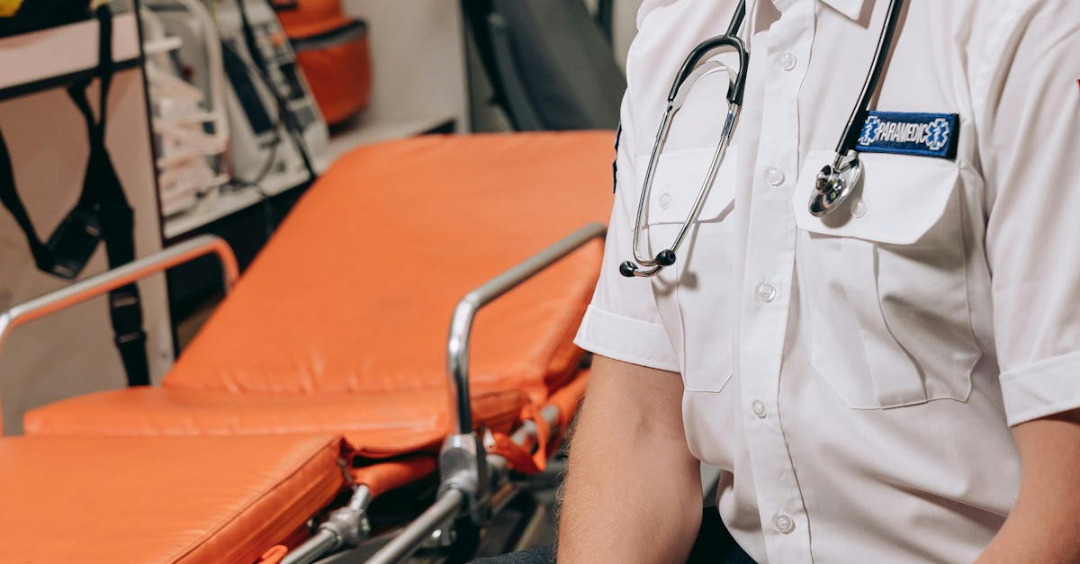 empresa especializada em wordpress