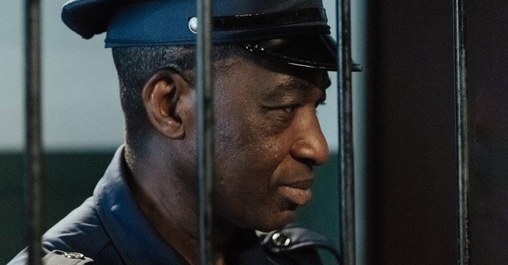 wordpress maintenance and security