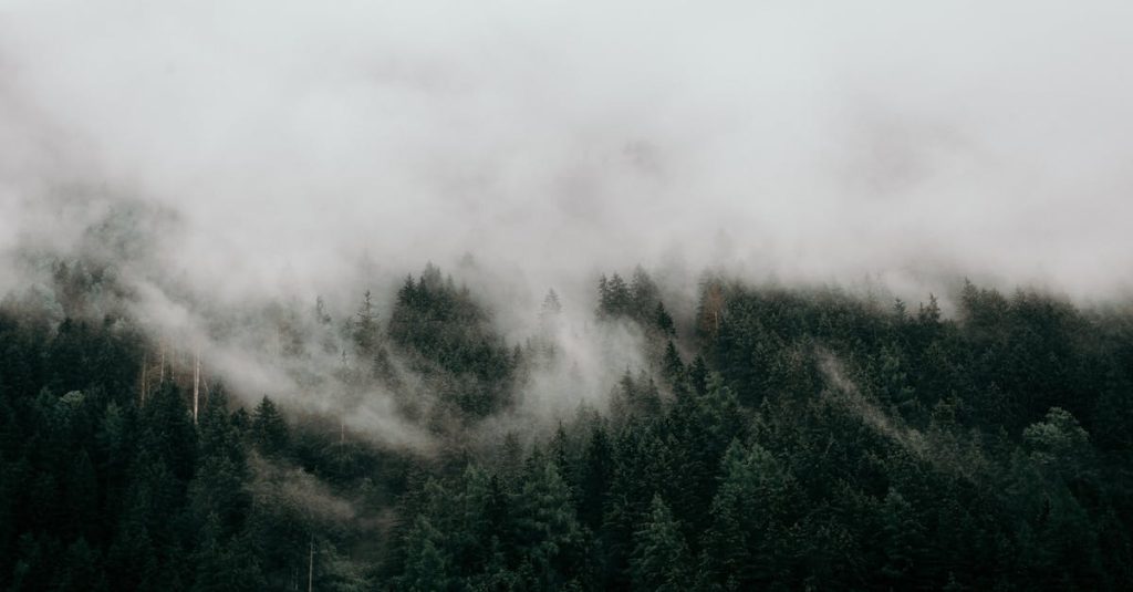 add google font to wordpress